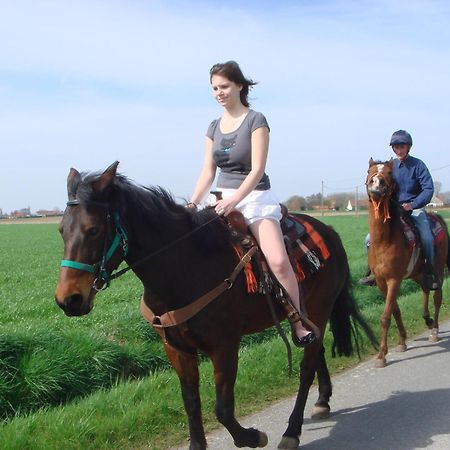 B&B Kanegem Onverbloemd Tielt Buitenkant foto