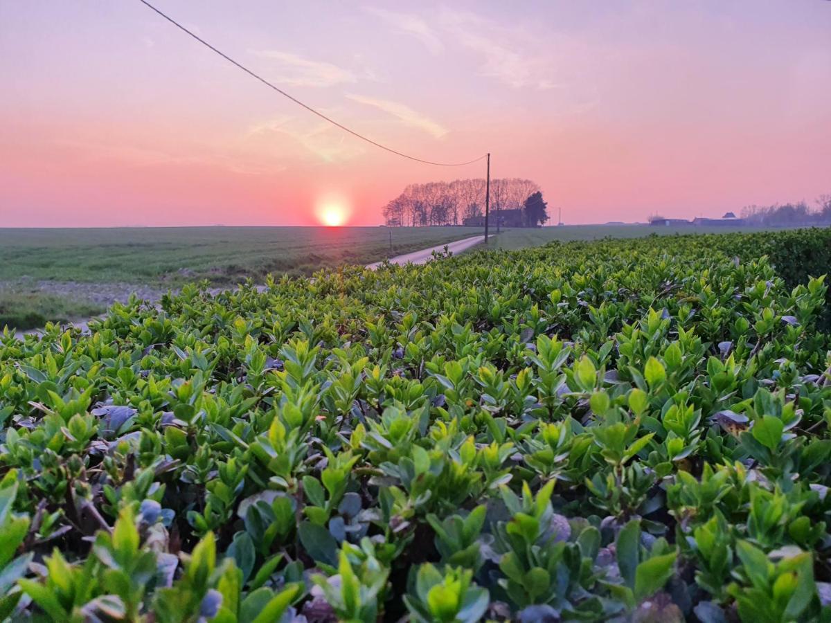 B&B Kanegem Onverbloemd Tielt Buitenkant foto
