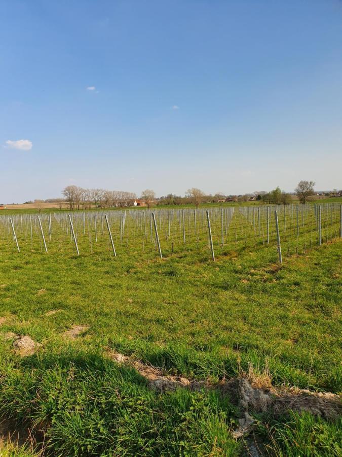 B&B Kanegem Onverbloemd Tielt Buitenkant foto