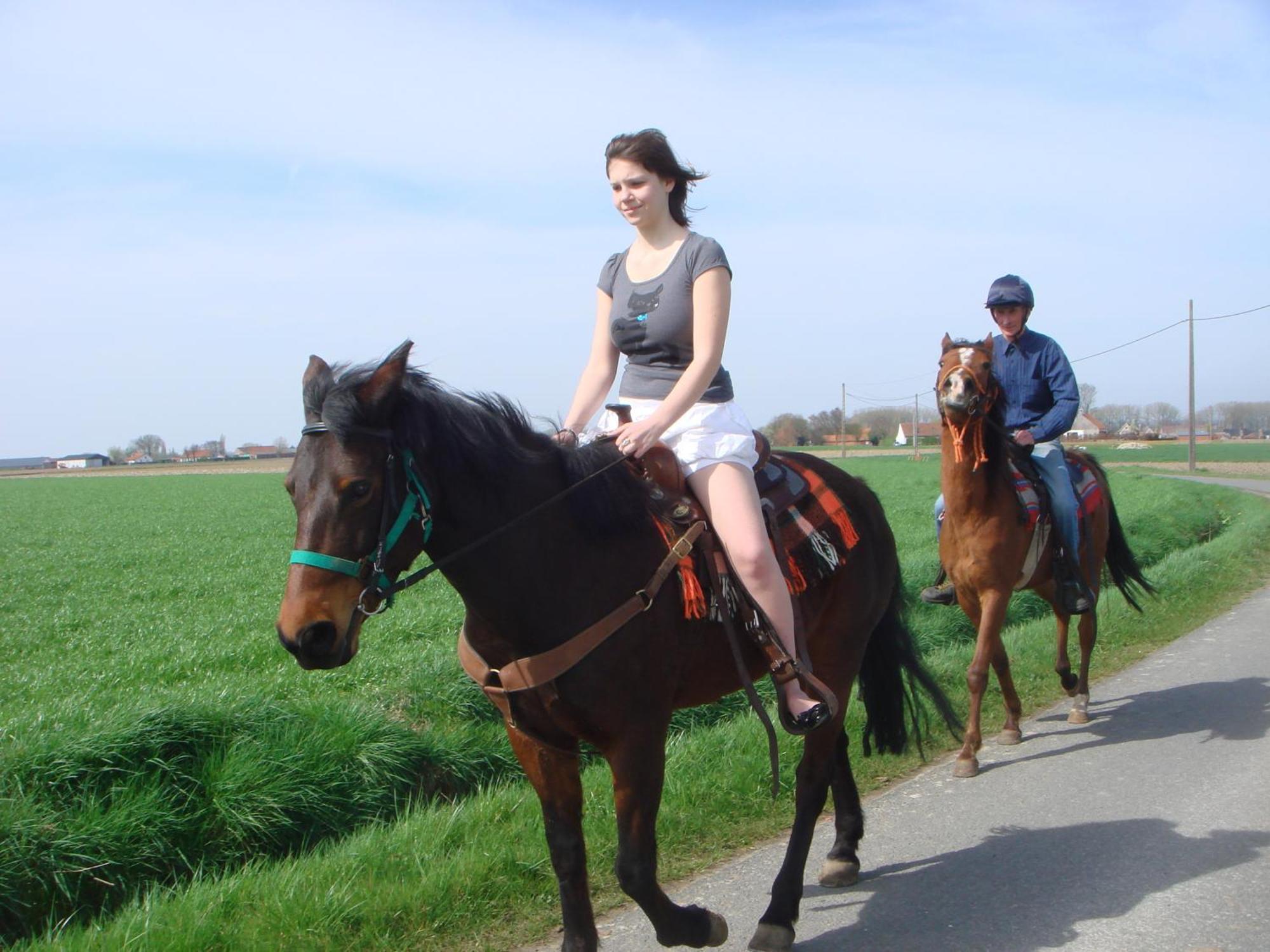 B&B Kanegem Onverbloemd Tielt Buitenkant foto