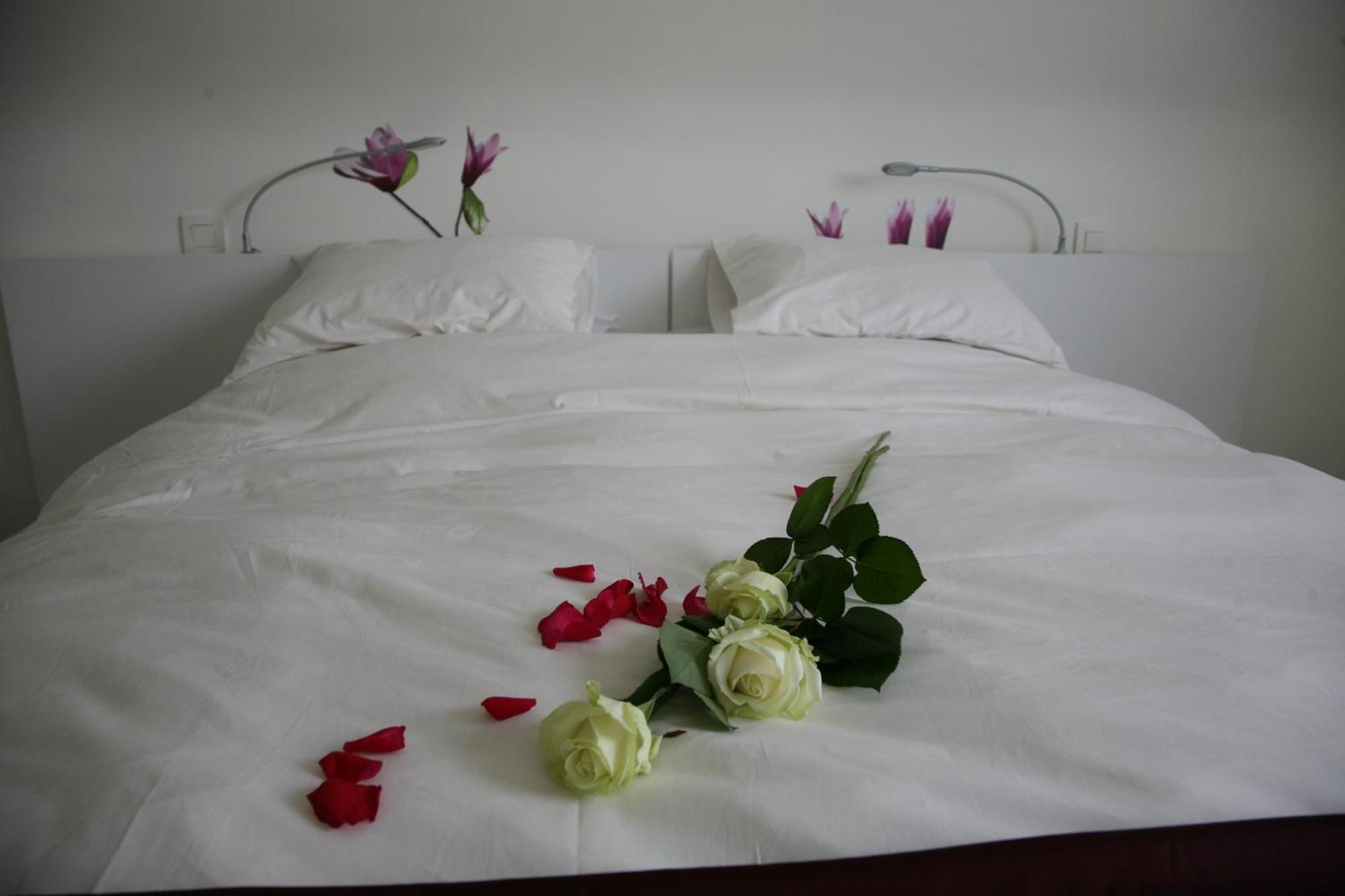 B&B Kanegem Onverbloemd Tielt Buitenkant foto
