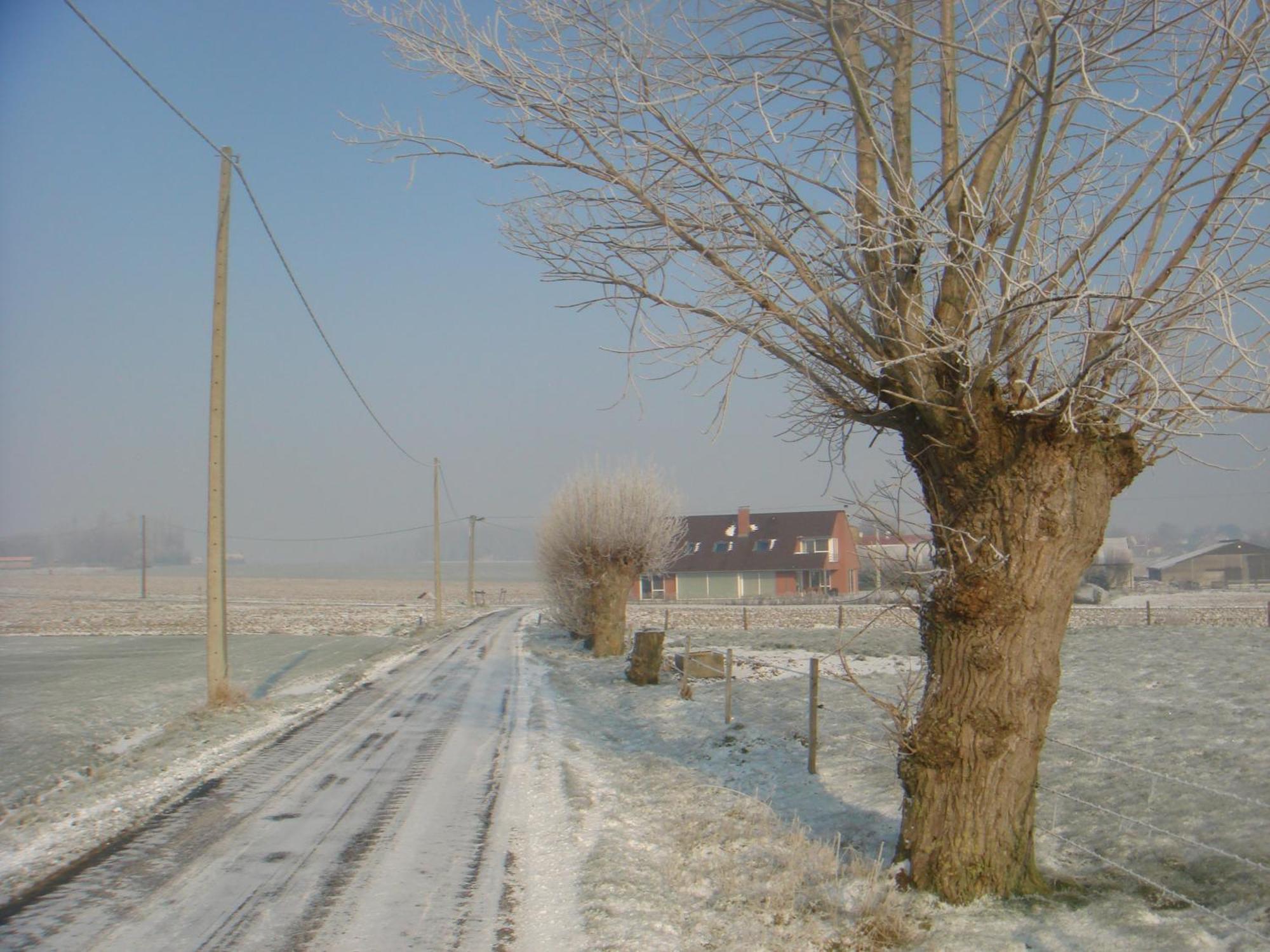 B&B Kanegem Onverbloemd Tielt Buitenkant foto